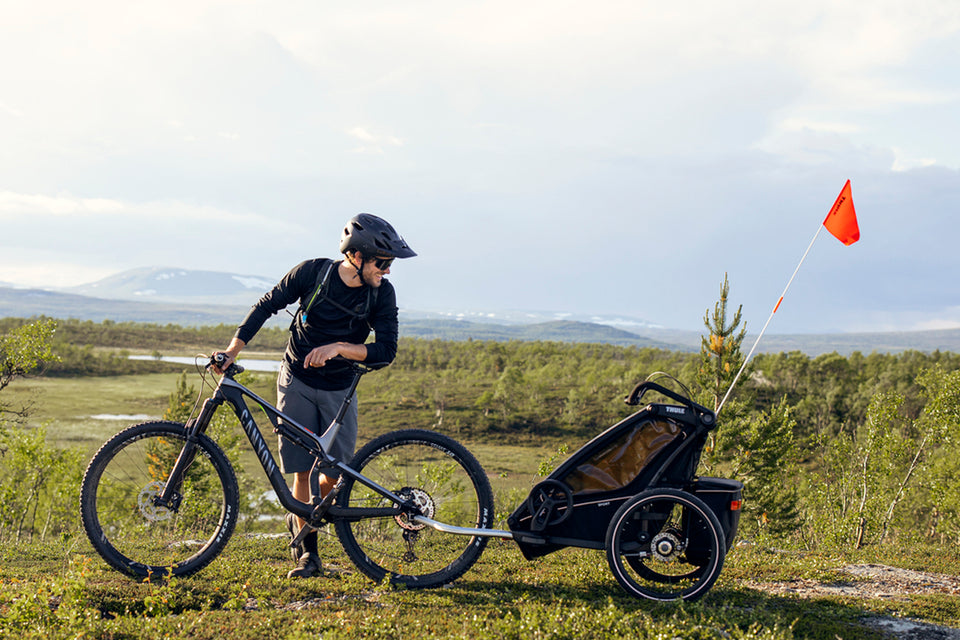 Comment choisir le bon chariot Thule?