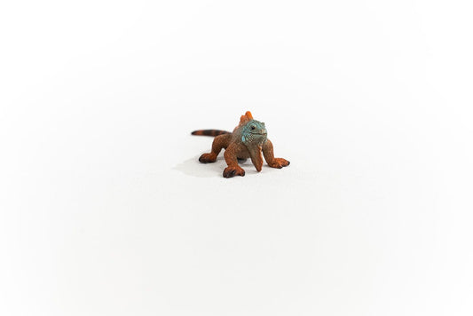 Iguane