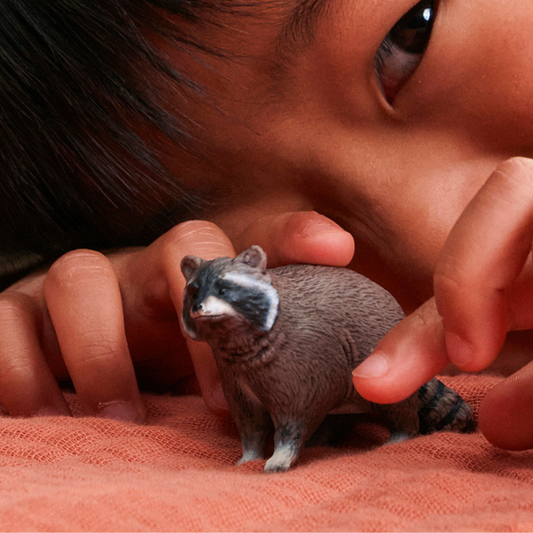 Raccoon | Nocturnal Masked Animal