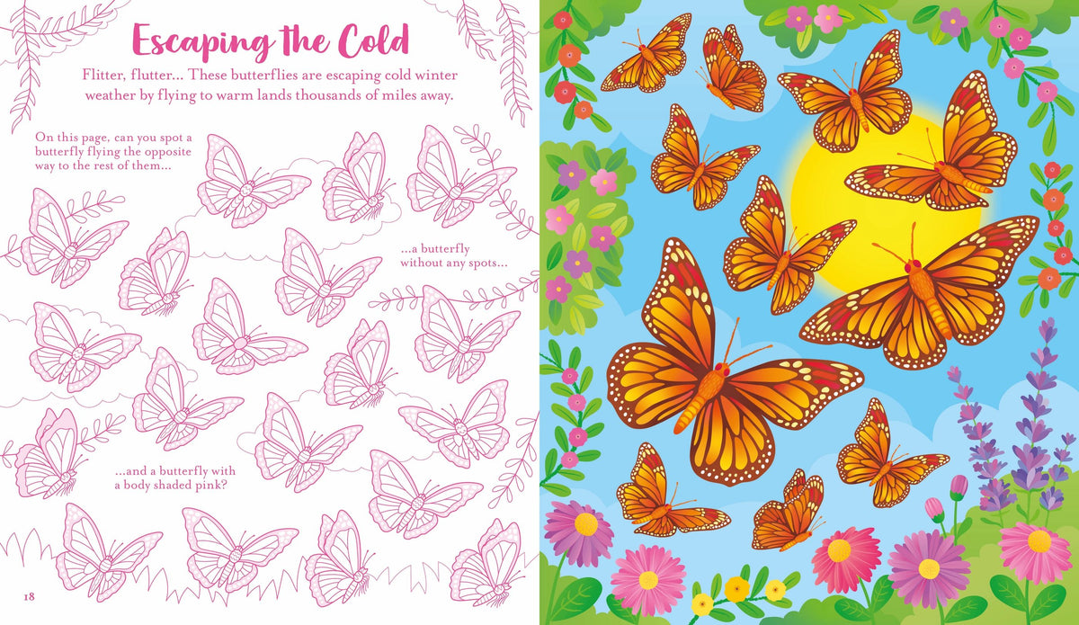 Usborne Scratch Activities: Butterflies