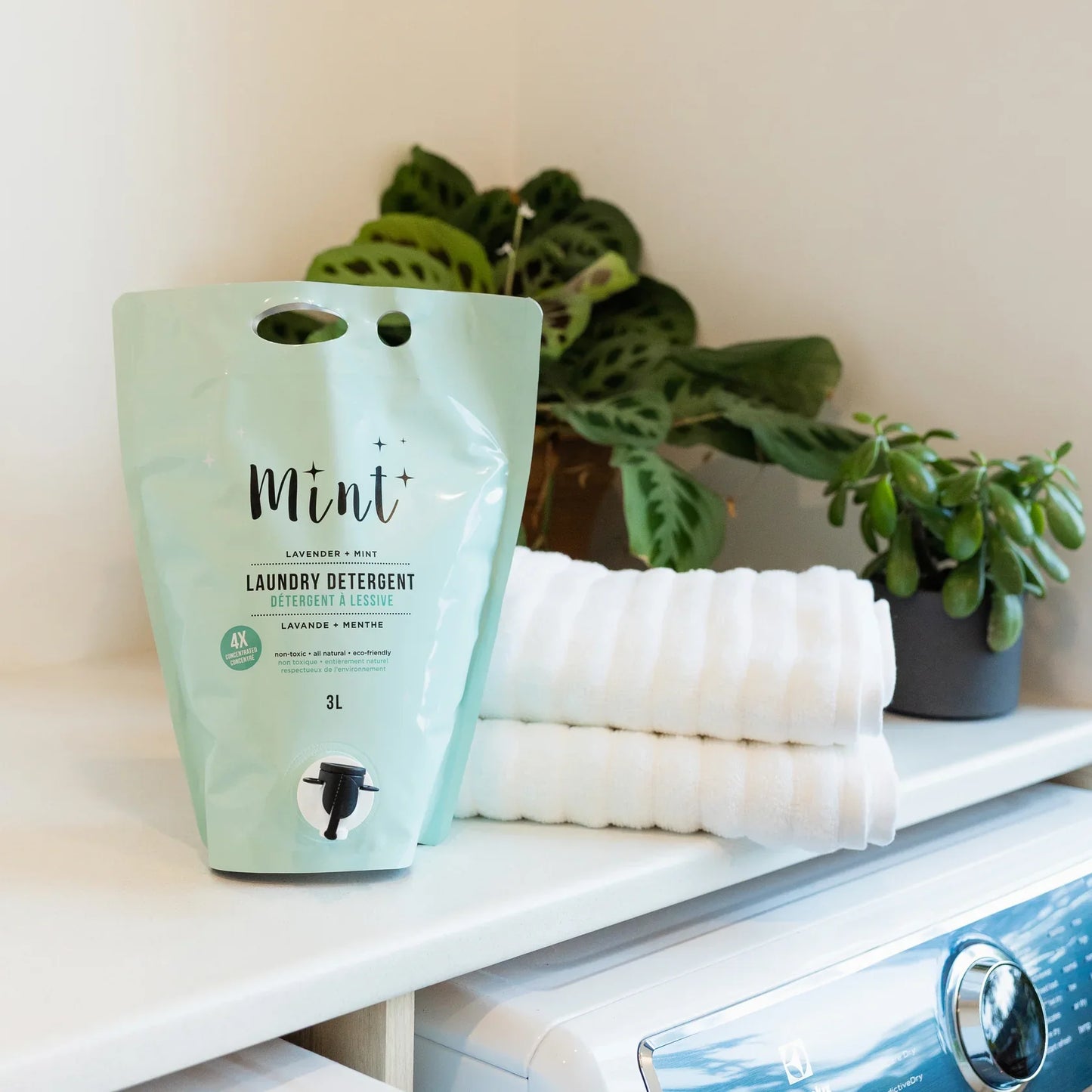 Lessive | Mint Cleaning