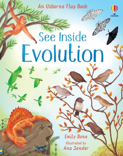 Voir l'intérieur de l'évolution