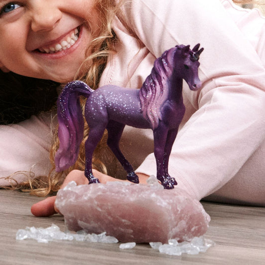 Jument Licorne Arc-en-ciel Galaxie