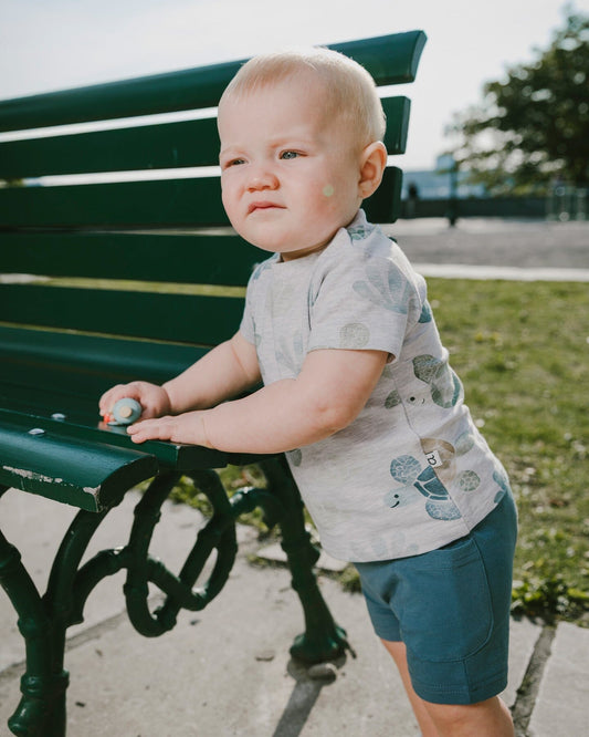 Jersey T-Shirt And Organic Cotton Jersey Shorts Set Grey Mix Turtle Print And Medium Blue