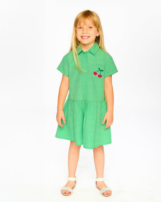 Cotton Shirt Dress With Embroidery Green