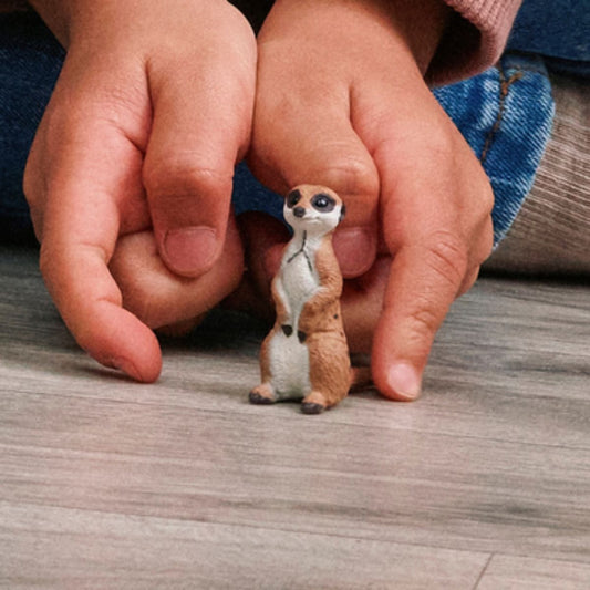 Suricate
