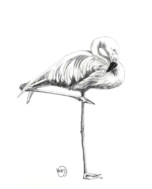 Magnifique carte de vœux flamant rose