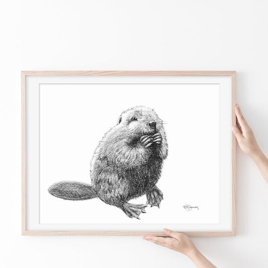 Bébé castor - impression d'art animalier
