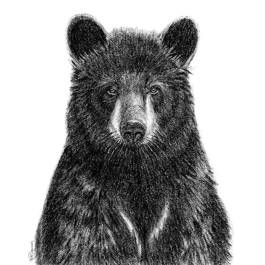 Portrait d'ours noir - impression d'art