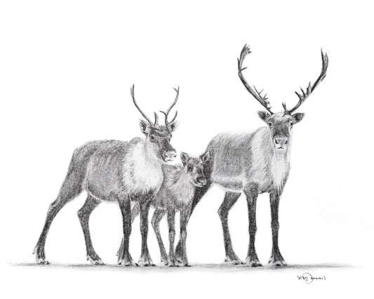 Famille de caribous - Décoration murale animaux des bois