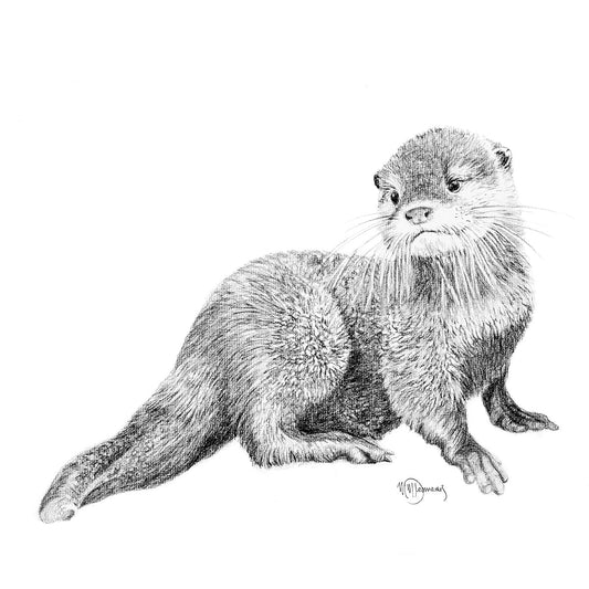 Loutre bébé adorable - impression d'art