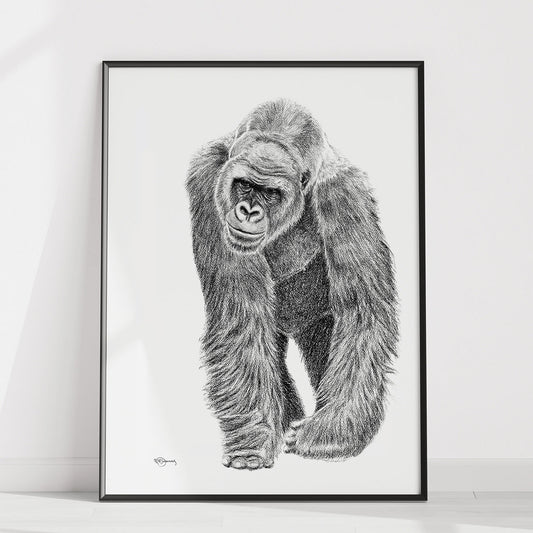 Illustration de gorille - Imprimé animal sauvage - Collaboration avec La Fondation du Zoo de Granby