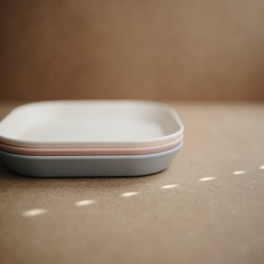 Square Dinnerware Plates - Set of 2