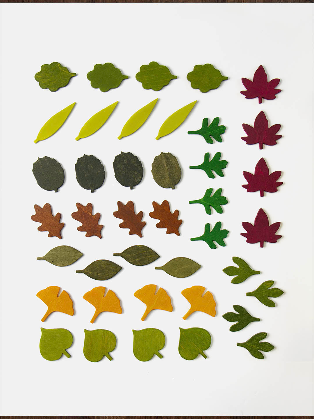 Feuilles des bois