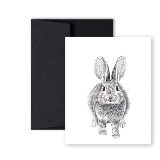 Carte de vœux lapin recto verso