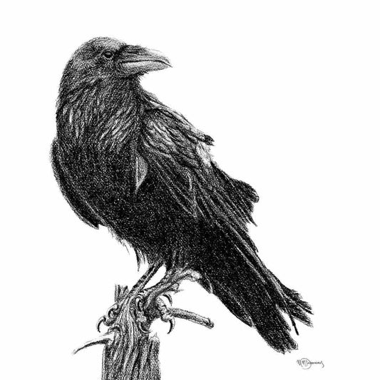 Corbeau - carte de vœux