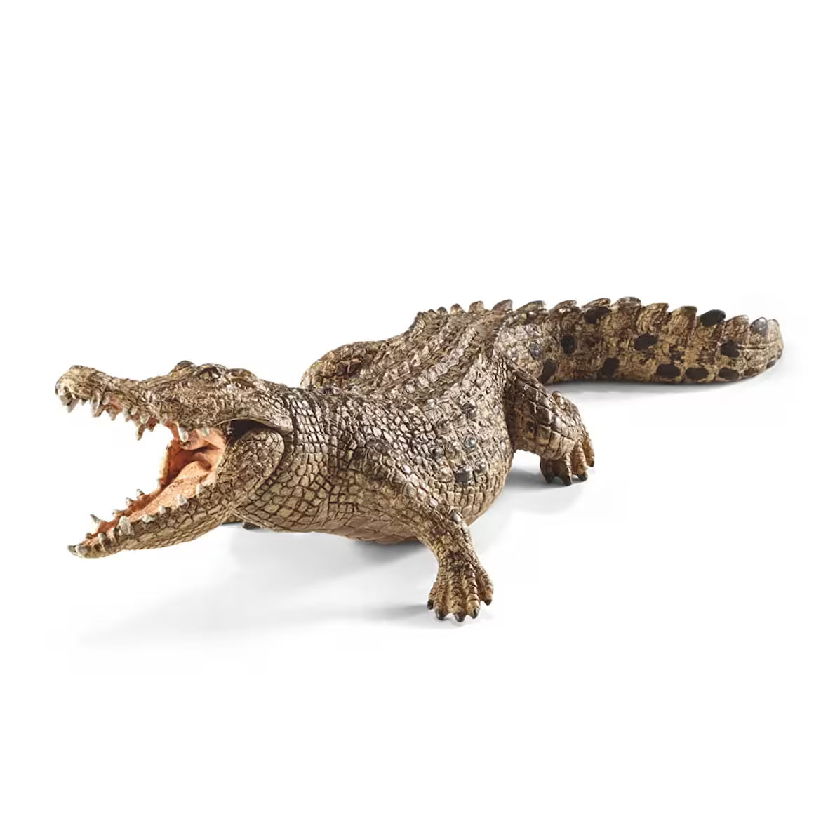 Crocodile