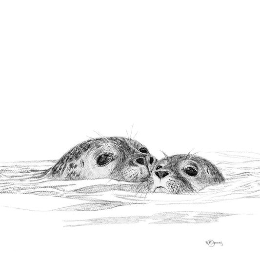 Phoque avec son petit - illustration animalière en noir et blanc