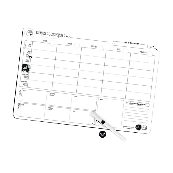 Organisation