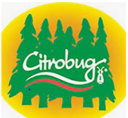 Citrobug