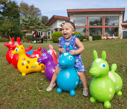 Rody Inflatable Bounce Horse with Pump