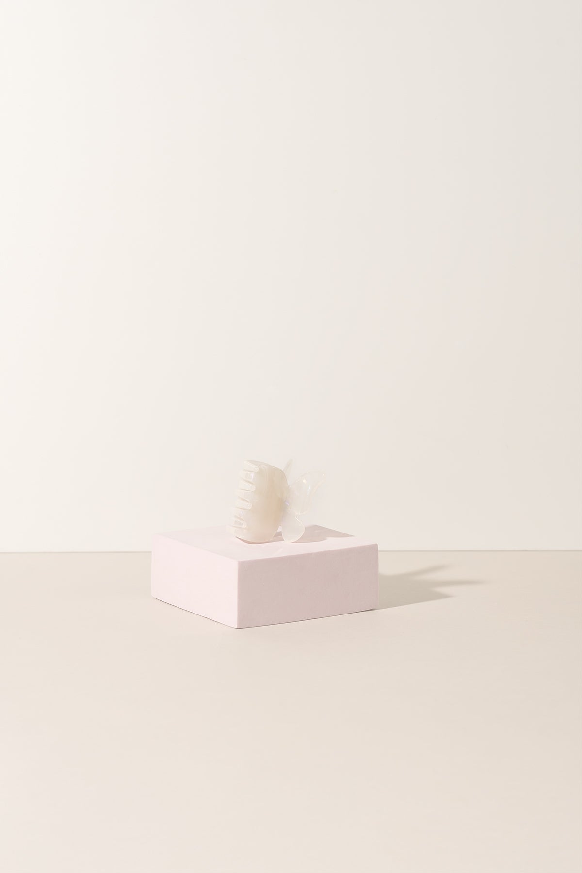 La collection de papillons