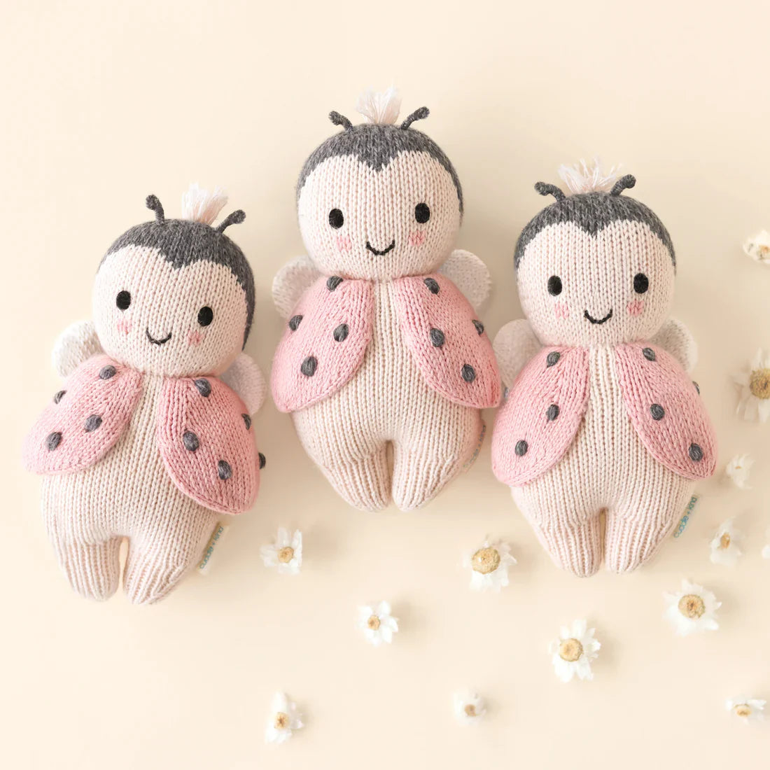 Baby Ladybug | Cuddle & Kind