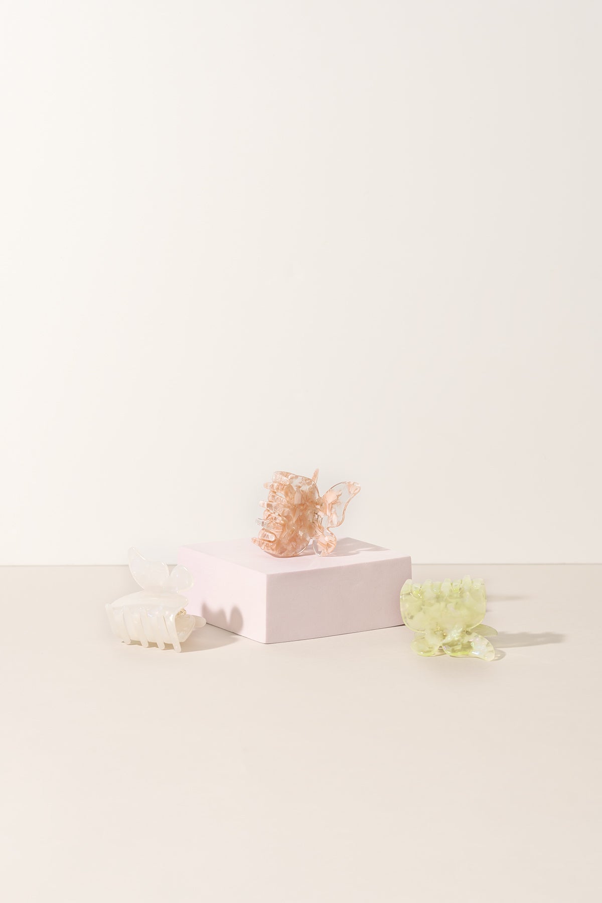 La collection de papillons