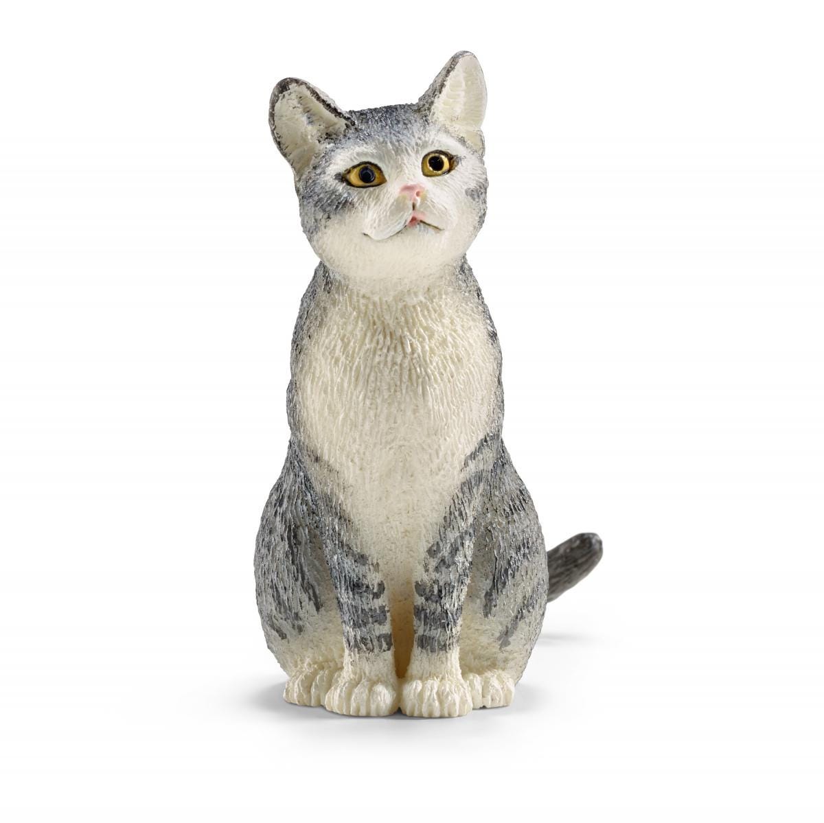 Chat, assis