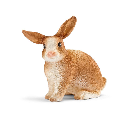 Lapin