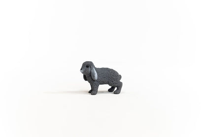 Lop-Eared Rabbit