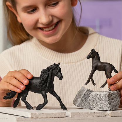 Majestic Black Friesian Stallion