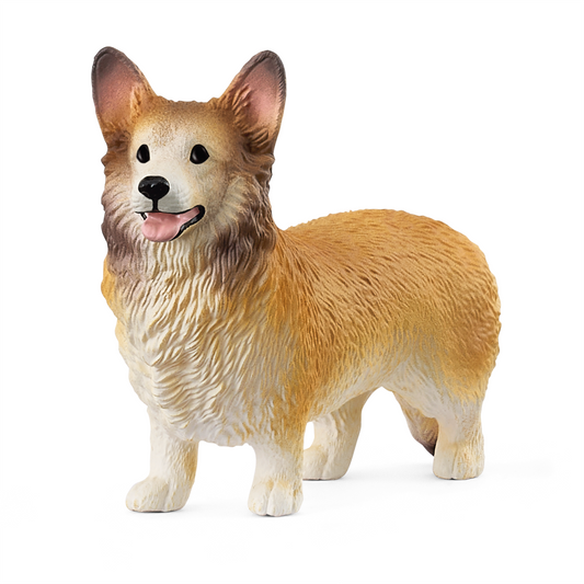 Corgi gallois