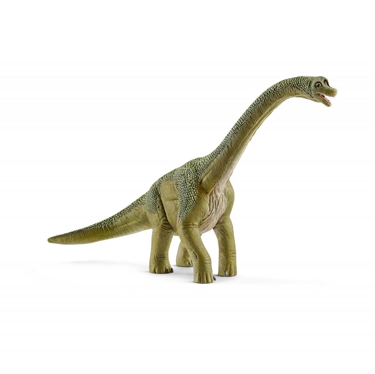 Brachiosaurus, the Arm Lizard