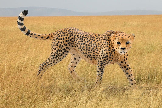 Swift Female Cheetah Figure
