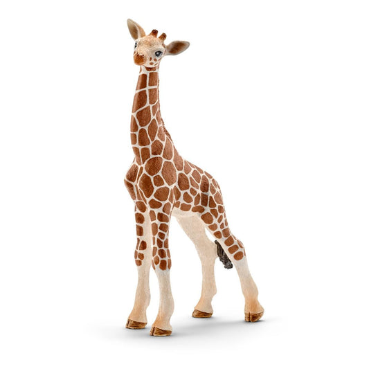 Girafeau dans la garderie du troupeau