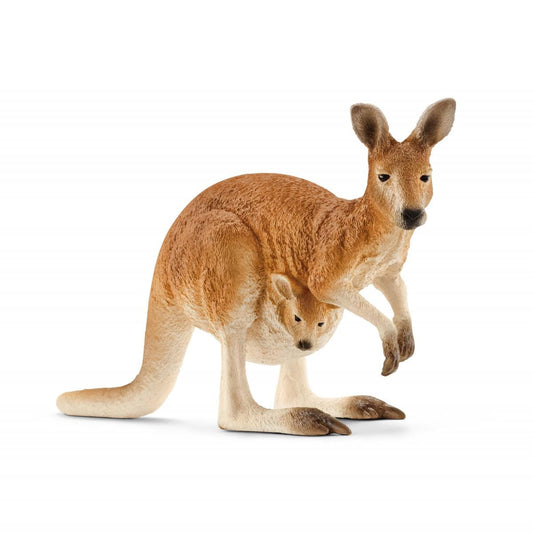 Kangourou