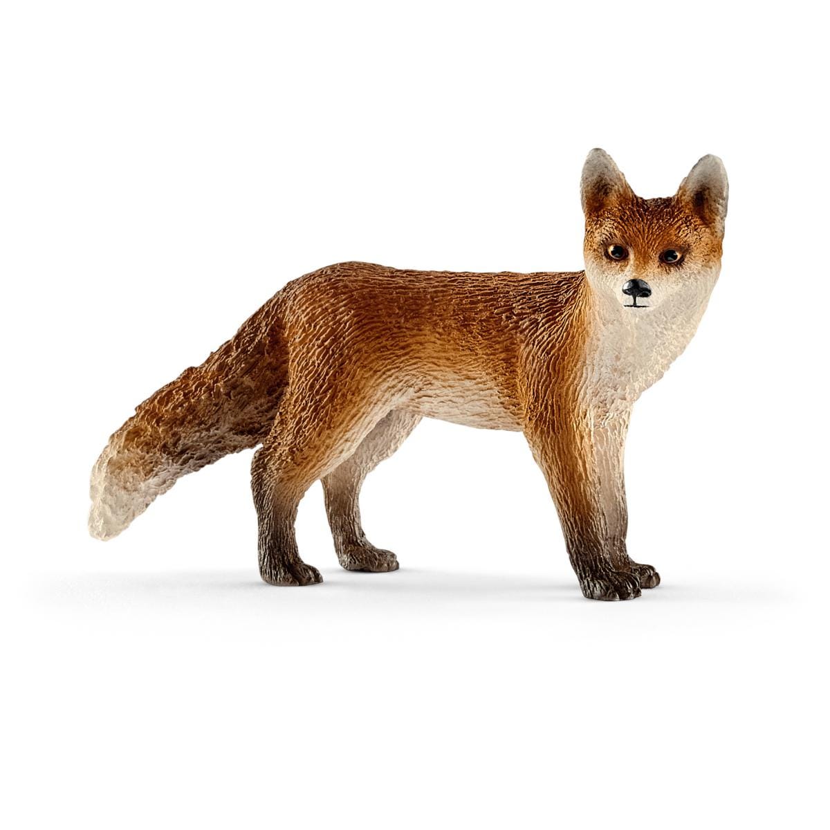 Renard roux à la queue touffue