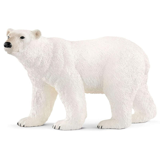 Ours polaire