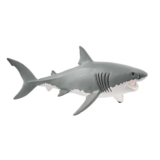 Grand requin blanc
