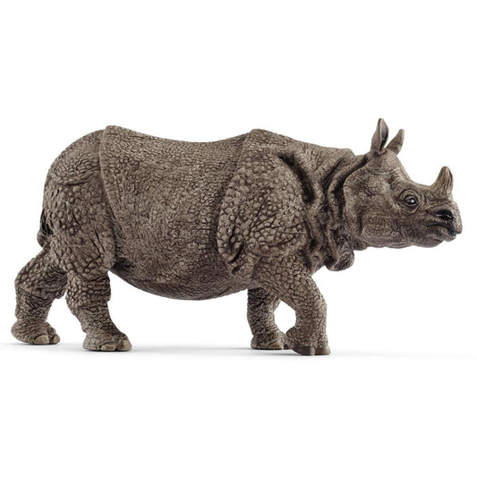 Rhinocéros indien