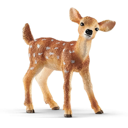 Faon de cerf de Virginie
