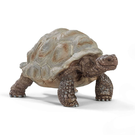 Tortue géante