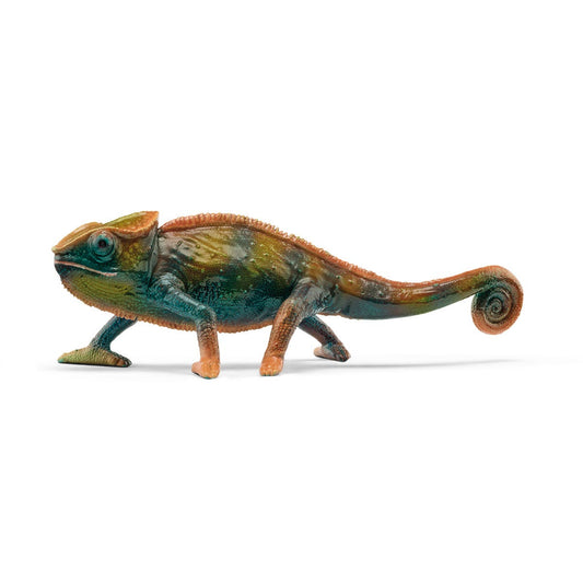 Caméléon