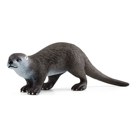 Loutre