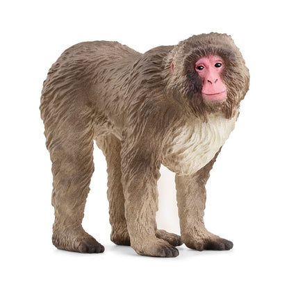 Friendly Japanese Macaque Figure