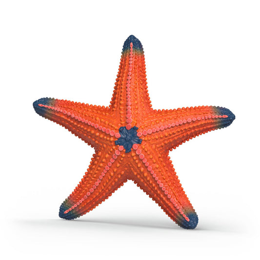 Étoile de mer changeant de couleur