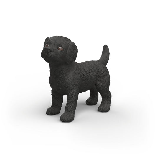 Chiot Labrador noir