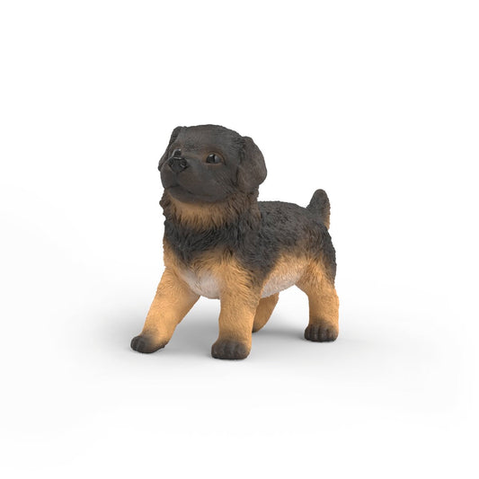 Chiot berger allemand