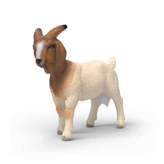Chèvre Boer